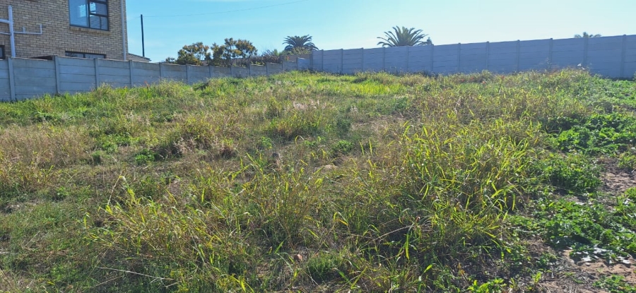 0 Bedroom Property for Sale in Tergniet Western Cape